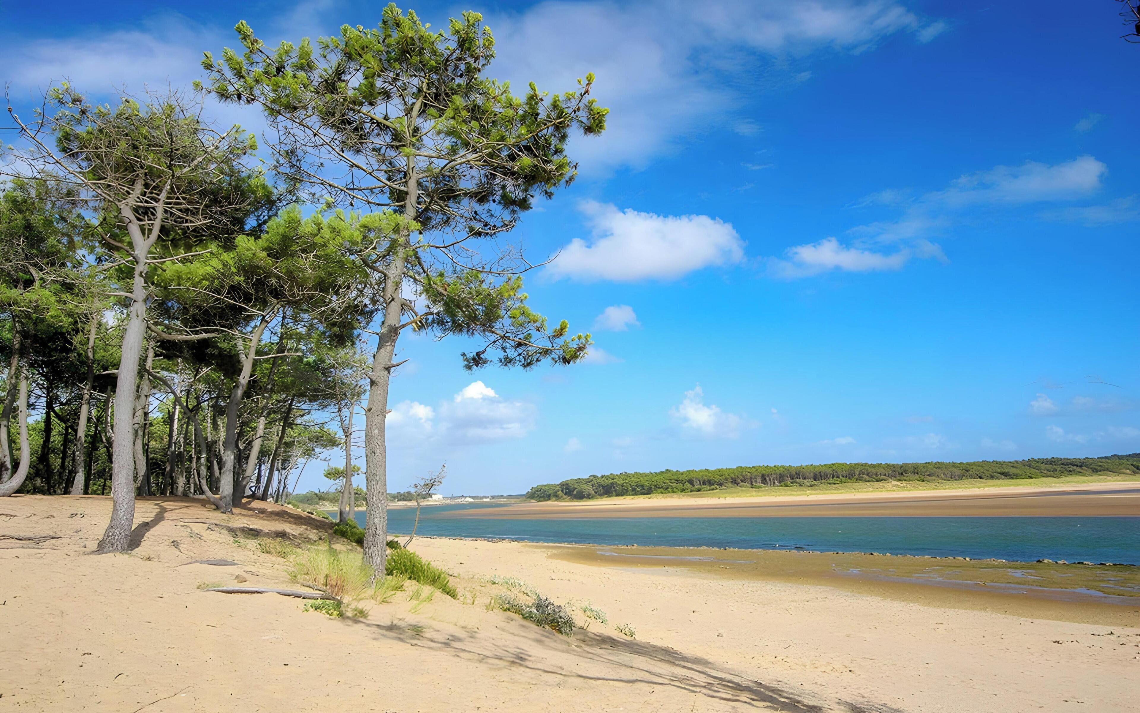 Plage à proximité