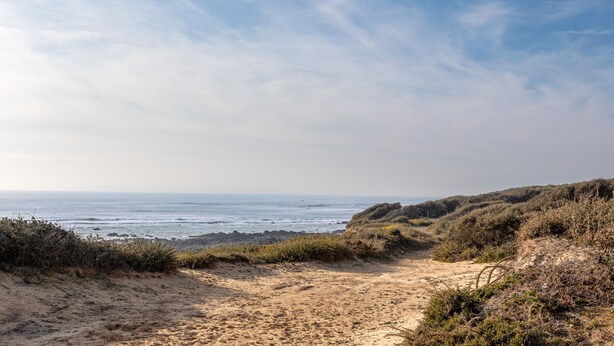 Un sendero costero que lleva al mar, con terreno arenoso y vegetación escasa.