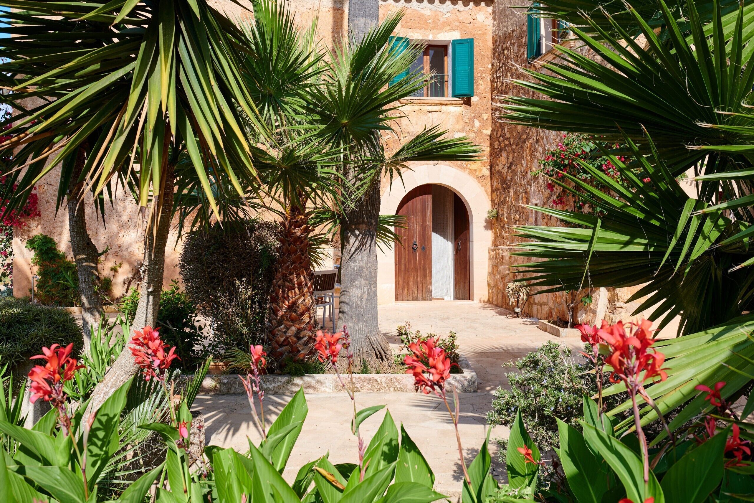 Un patio con una palmera, flores rojas y un edificio con puerta de madera y contraventanas verdes.