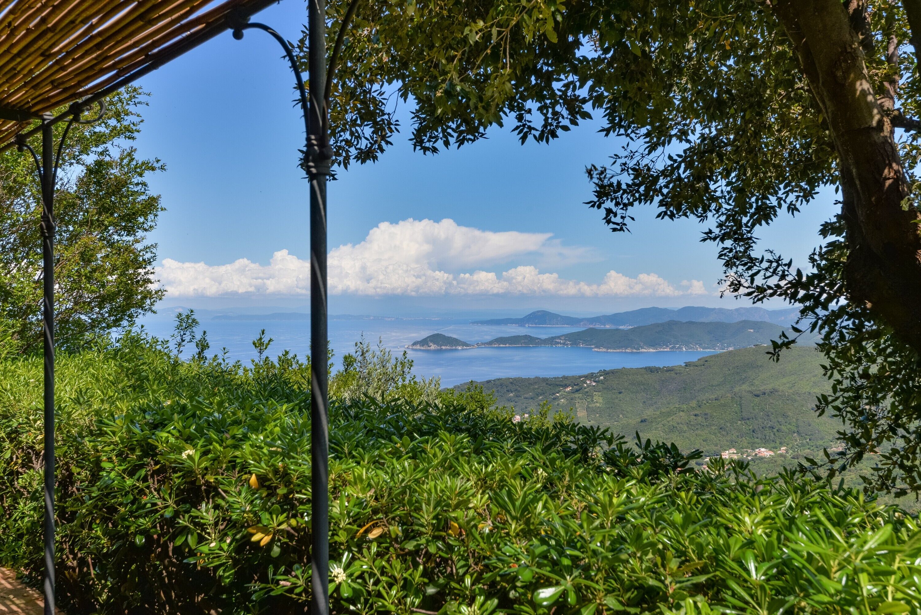 Paesaggio costiero con cielo sereno, vegetazione rigogliosa e montagne in lontananza.