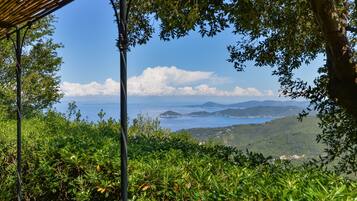 Paesaggio costiero con cielo sereno, vegetazione rigogliosa e montagne in lontananza.