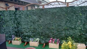 Un espace jardin agrémenté d’une haie verte, de plantes en pot et d’un sentier.