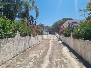 Jardines del alojamiento