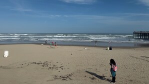 A beach with a pier in the background, sandy shore, and waves. - Cozy and Beautiful 30-Hac (Laguna Vista)