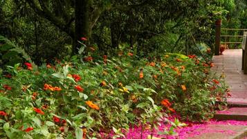 Jardines del alojamiento