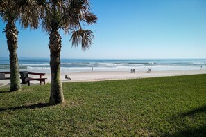 On the beach - Direct Oceanfront 2/2 | Private Balcony | Heated Pool | Tennis Court (New Smyrna Beach)