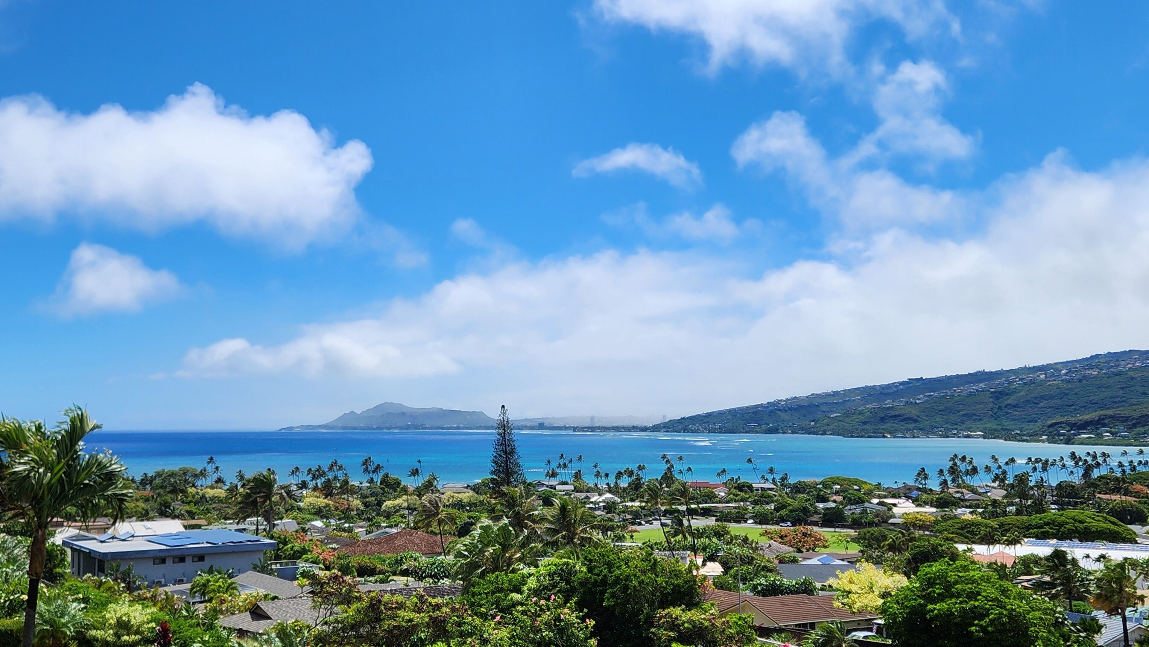 A coastal residential area with houses, palm trees, and a view of the ocean and a distant mountain.