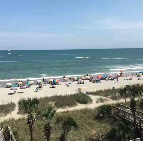 Vlak bij het strand
