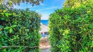 En sti der fører til en strand med udsigt over havet, omgivet af frodig vegetation.
