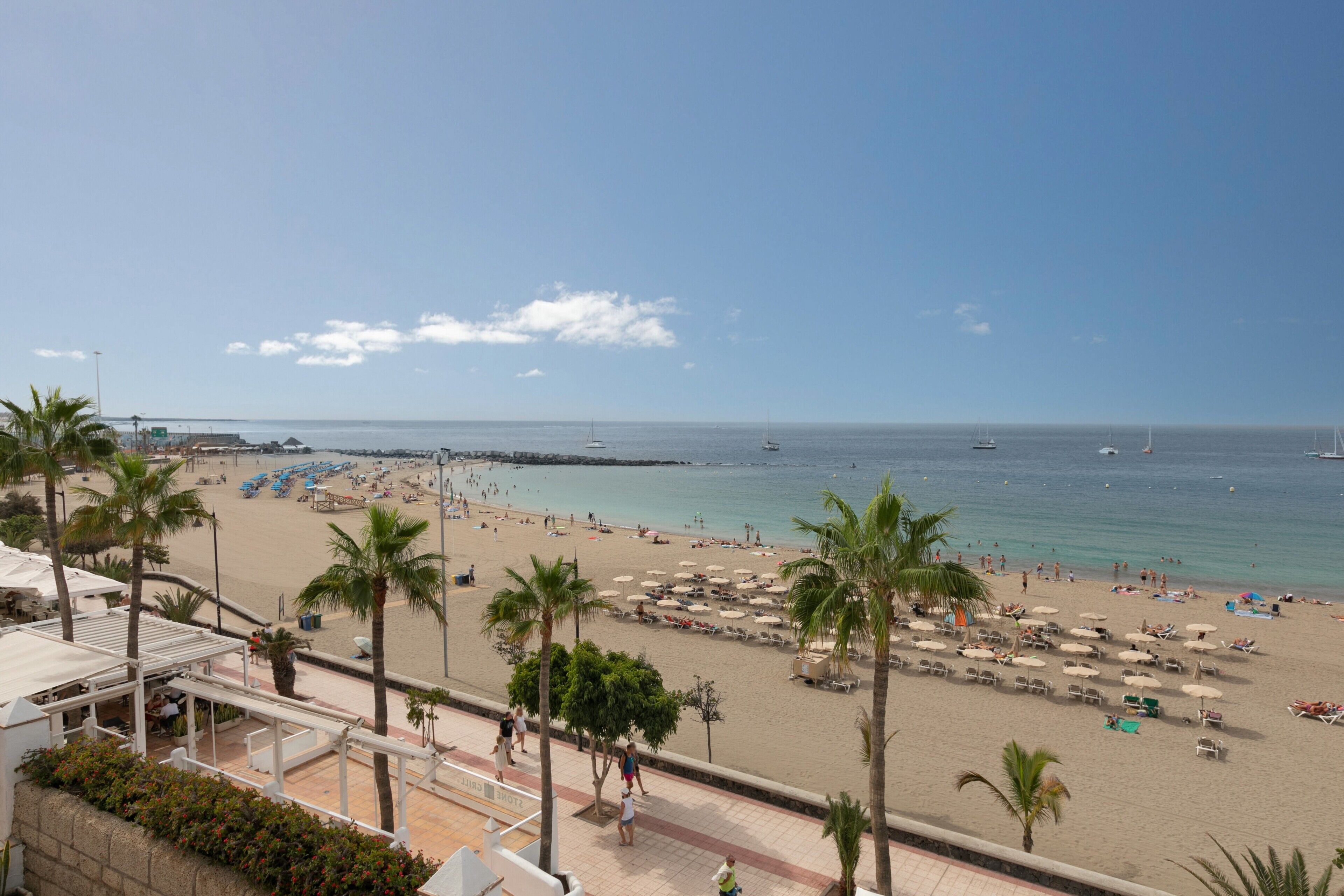 A beach with palm trees, umbrellas, and a pier in the background.