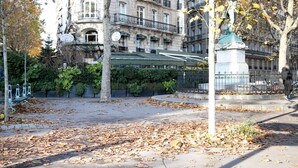 Uklassifisert bilde, 5 av 25, knapp