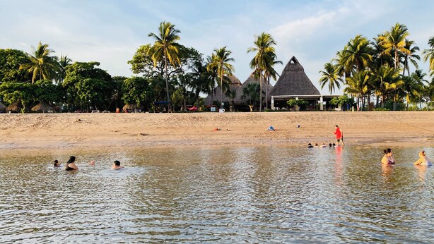 Una playa con palmeras y una construcción de techo de paja.