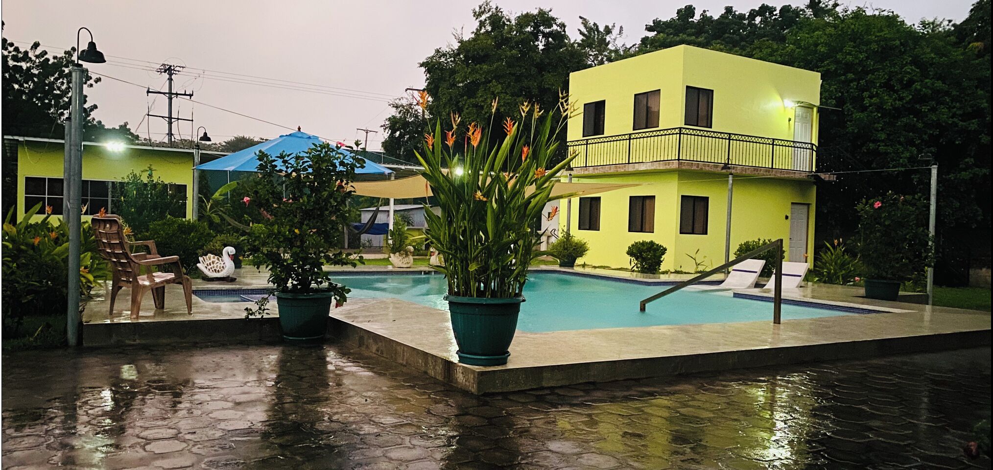 A swimming pool with a blue roof, surrounded by potted plants and a swan statue.