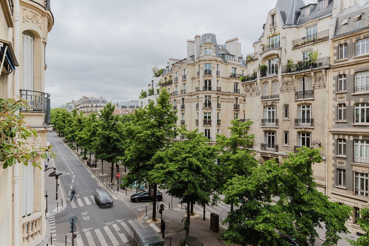Una calle bordeada de edificios históricos, con arquitectura clásica y un paseo arbolado.