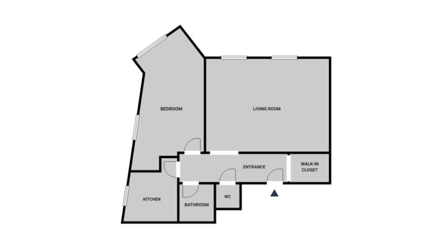 A floor plan with a bedroom, living room, kitchen, bathroom, and entrance.