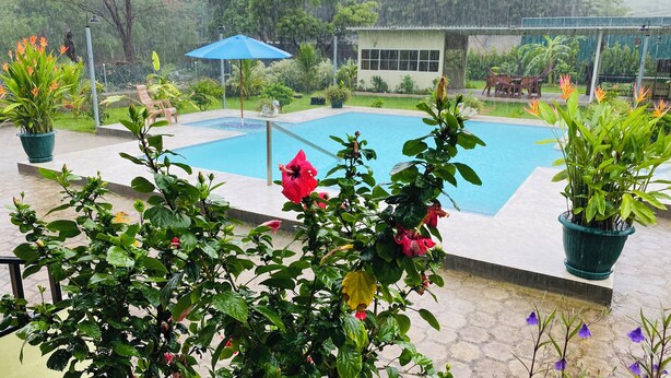 A swimming pool surrounded by potted plants and a covered seating area.