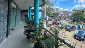 A covered outdoor area with blue pillars, potted plants, and a view of a busy street with cars and buildings.