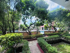 Un exuberante jardín con piscina, rodeado de diversas plantas y árboles.