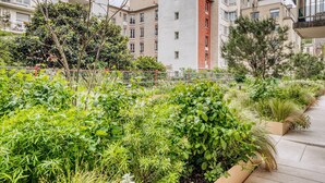 A rooftop garden with various plants and a metal fence. - Blueground | Montmartre, nr Sacré Coeur (Paris)
