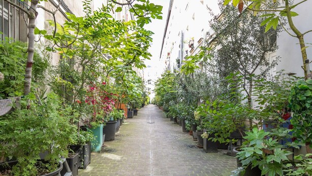 A narrow cobblestone alley lined with potted plants and trees, leading to a building with a white facade and multiple windows. - Blueground | Grands Blvds, washer, nr shops (Paris)
