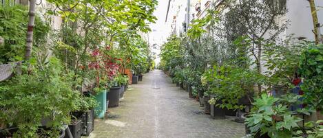 Terrein van de accommodatie