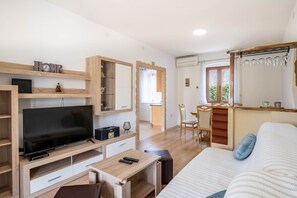 TV, fireplace - Villa Olea (Istria - Kaštelir) (Kaštelir)
