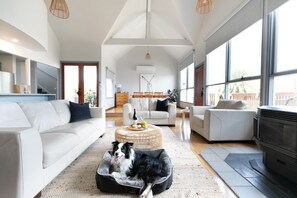Smart TV y chimenea
