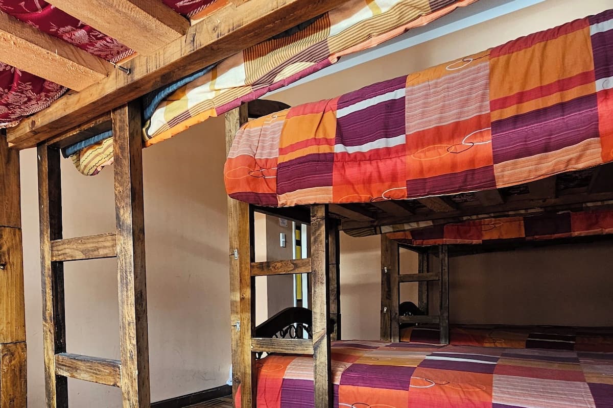 A bunk bed room with a wooden ladder and a quilted bedspread.