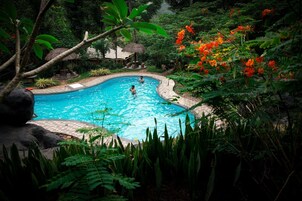 Una piscina rodeada de exuberante vegetación y una construcción con techo de paja.