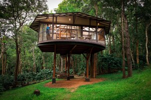 Una casa en un árbol con escalera espiral, rodeada de bosque.
