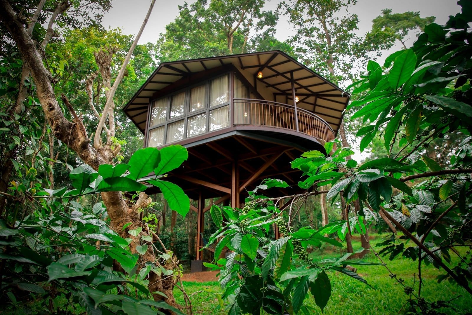 Une cabane dans les arbres avec une structure en bois, de grandes fenêtres et un balcon.