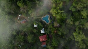 Exterior - Pugmarks Jungle Resort (Mananthavady)
