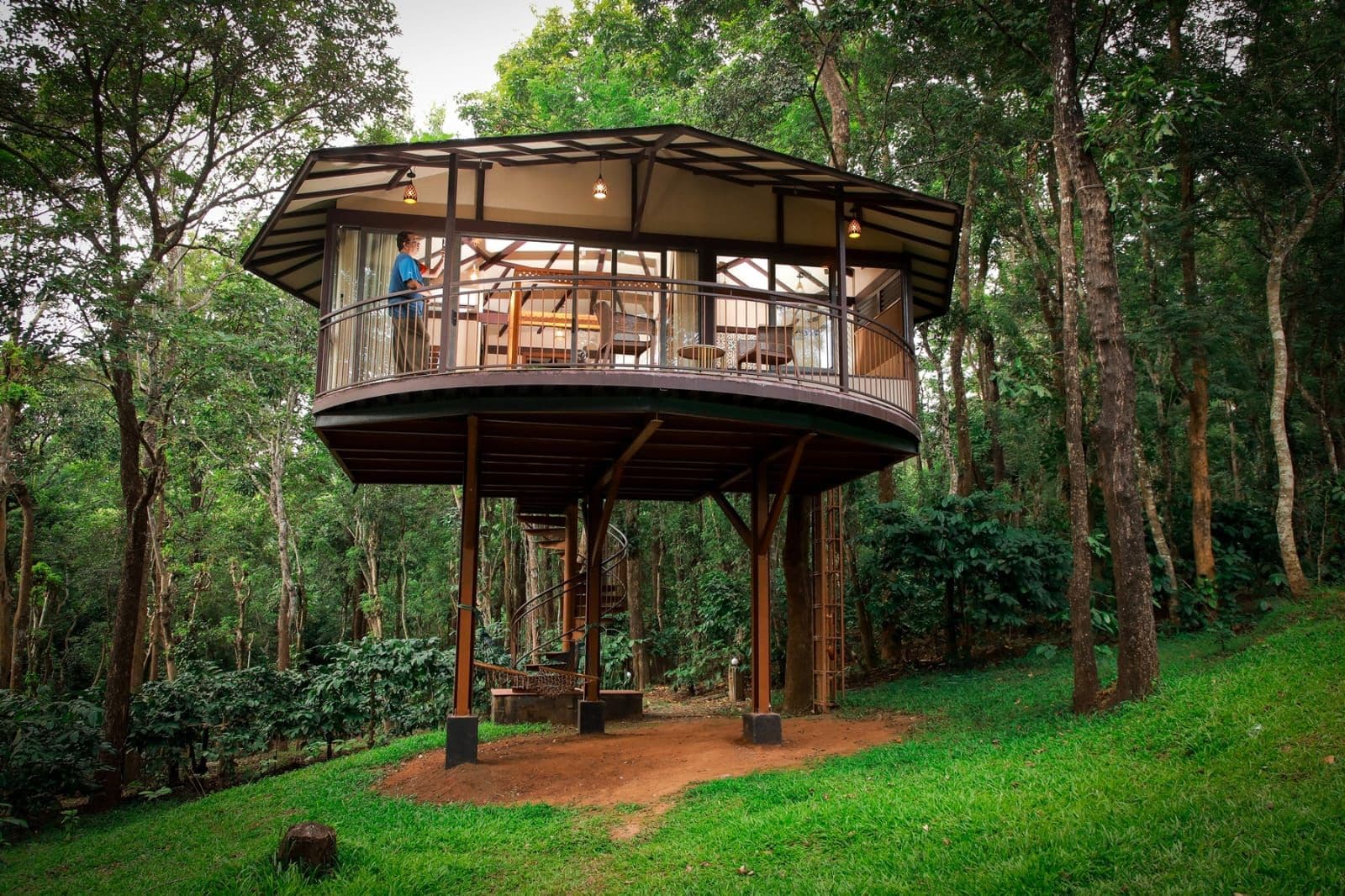 A treehouse with a circular floor plan, built on stilts, surrounded by a forest.
