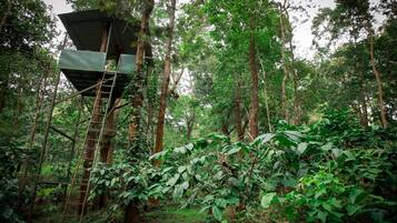 Zona boscosa con una estructura metálica que incluye una escalera, rodeada de abundante vegetación verde.