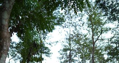 Pugmarks Jungle Resort