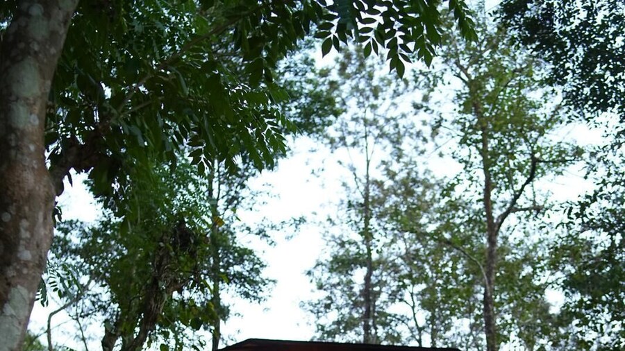 Pugmarks Jungle Resort
