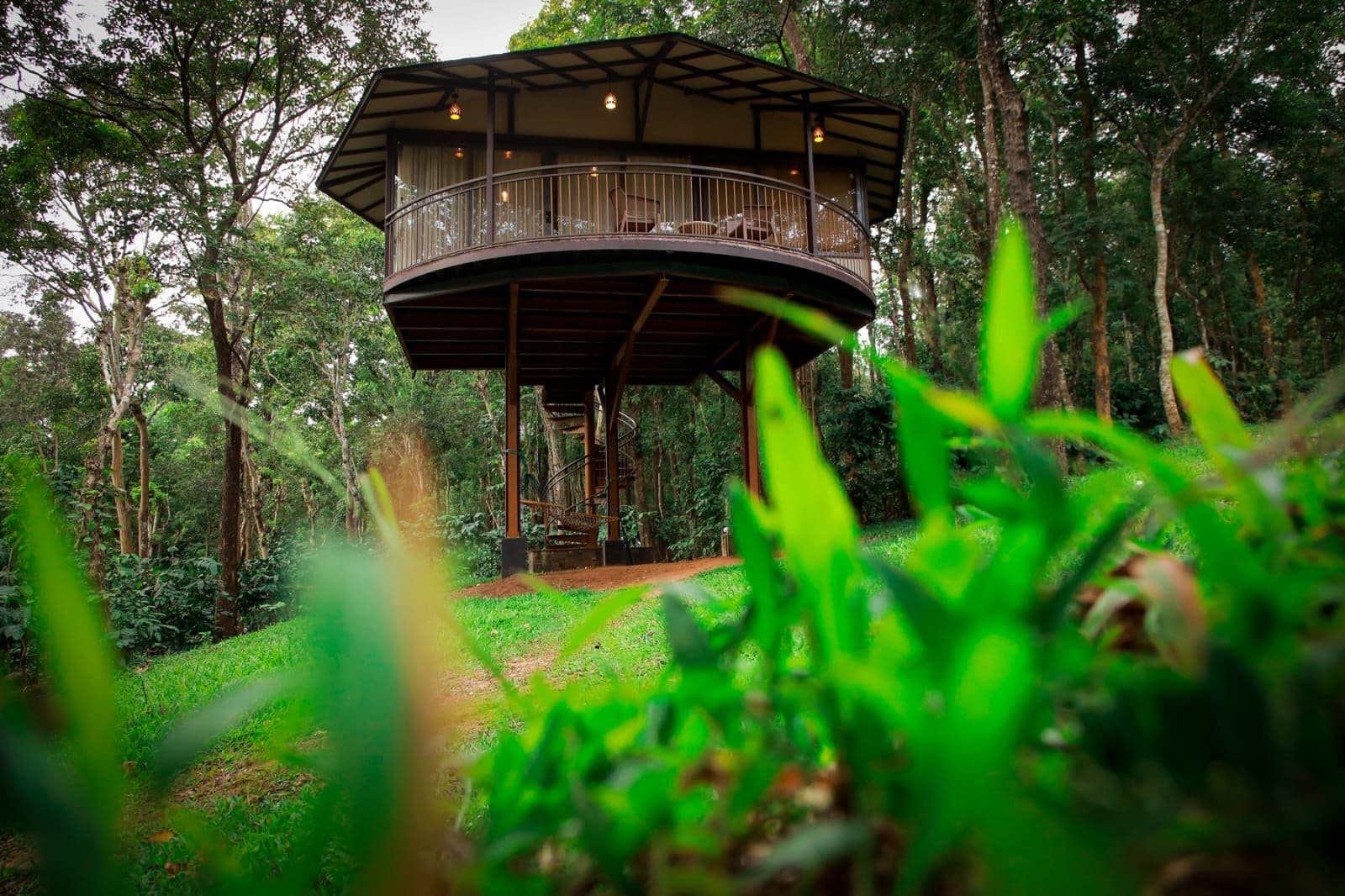 A treehouse with a spiral staircase, surrounded by dense forest.