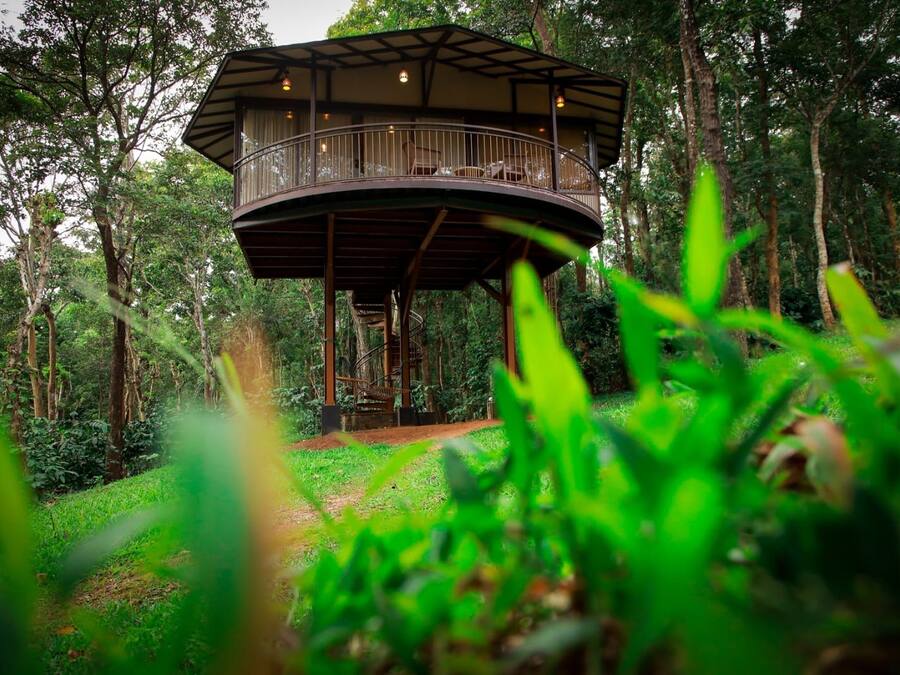 A treehouse with a spiral staircase, surrounded by dense forest.