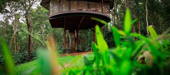 Pugmarks Jungle Resort