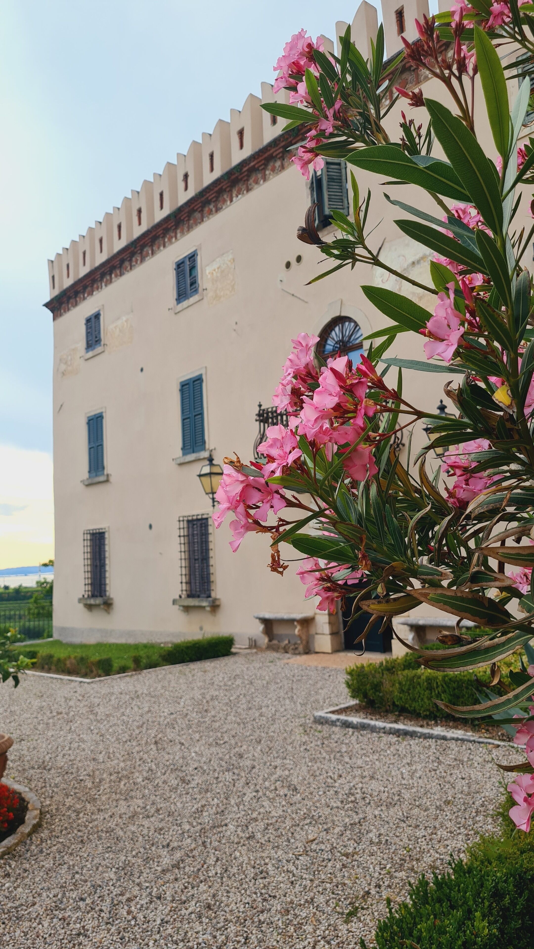 Detalle del exterior