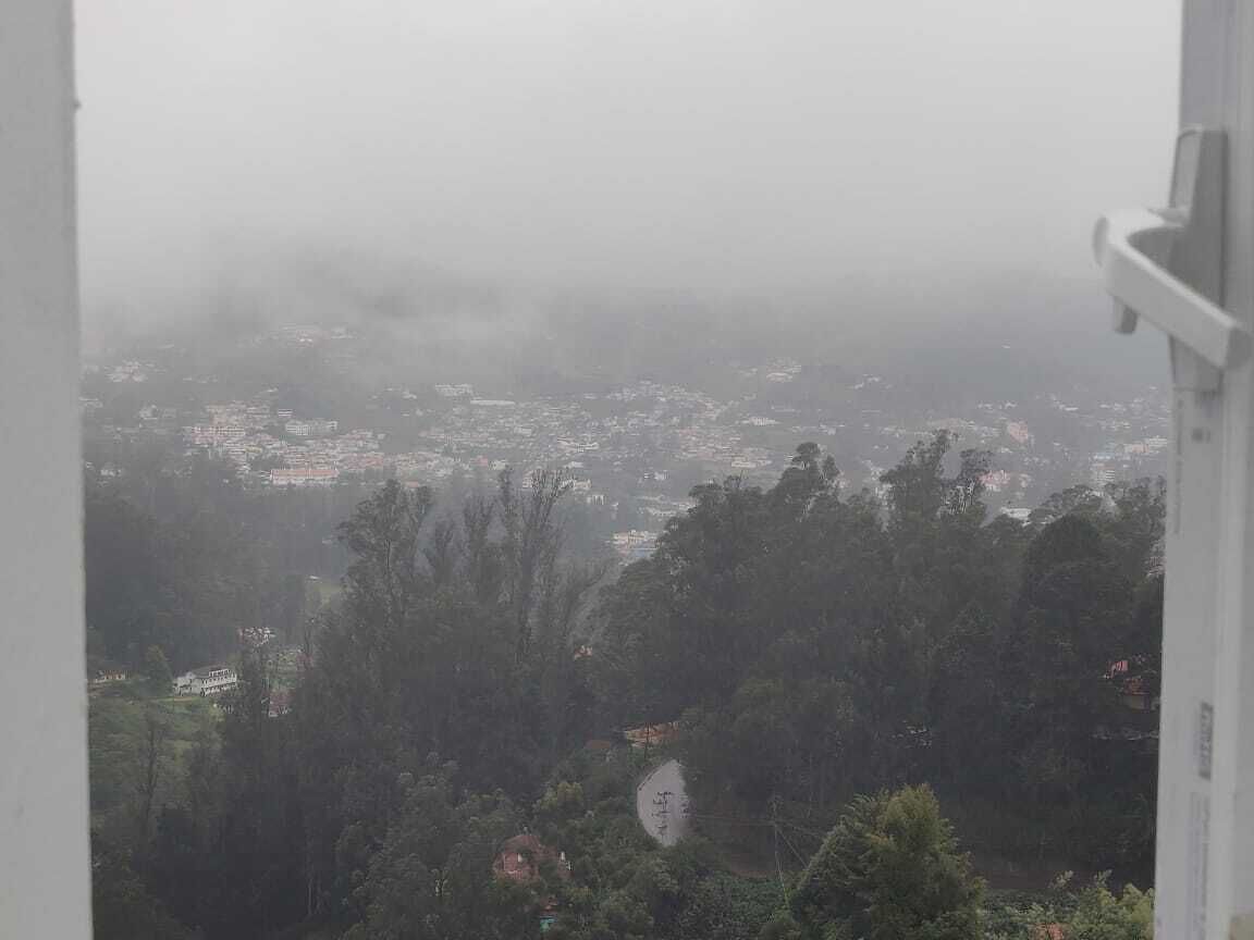 A foggy view of a cityscape with dense forest in the foreground.