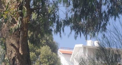 Bon Sejour Ooty Hill View Resort & Hotel