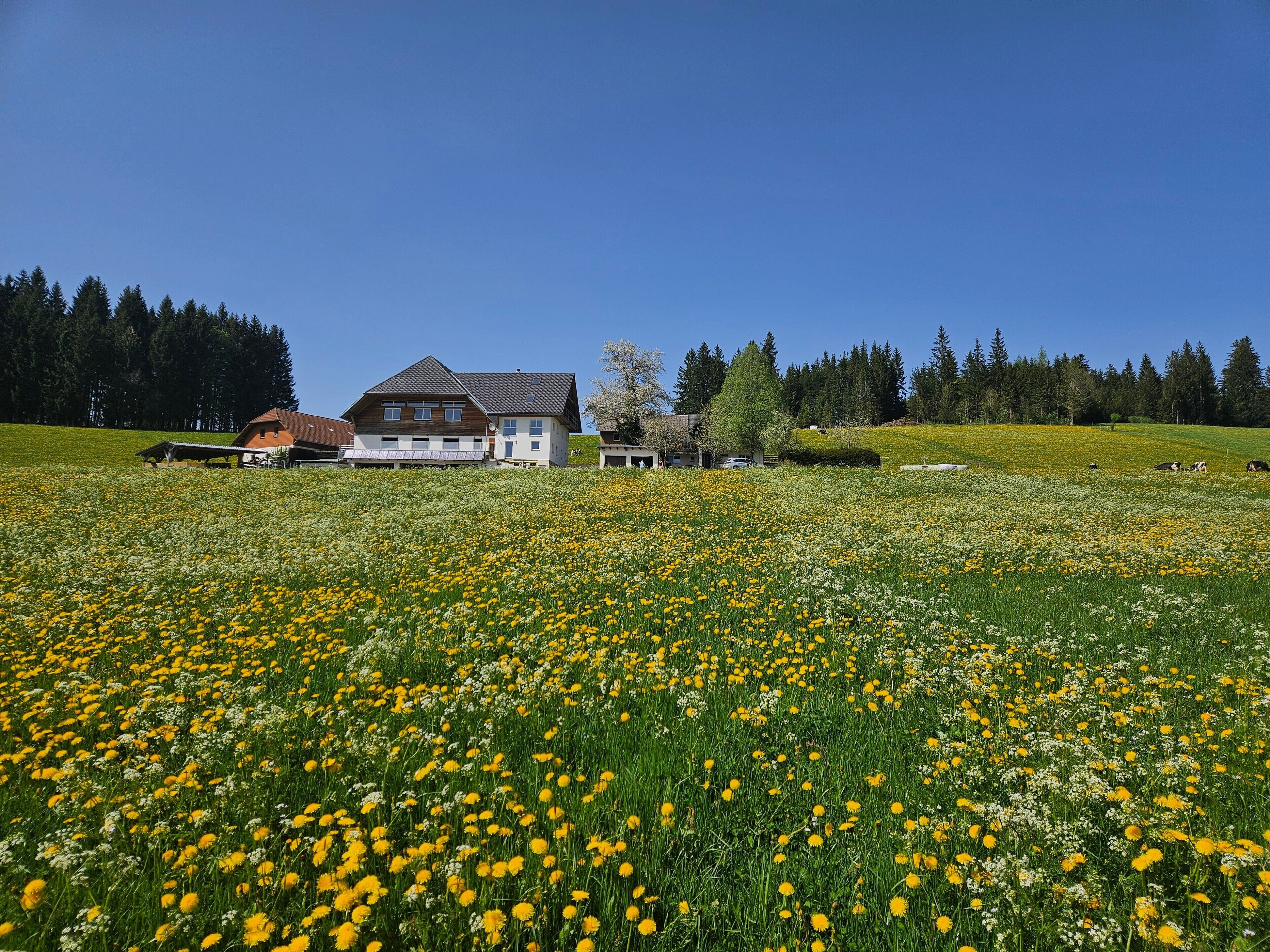 Parco della struttura