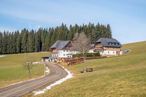 Une grande maison avec une allée sinueuse, entourée d’une forêt et d’une colline verdoyante.