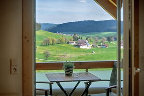 Interior - Apartment 'Schwalbennest' with Shared Terrace, Shared Garden and Wi-Fi (Eisenbach)