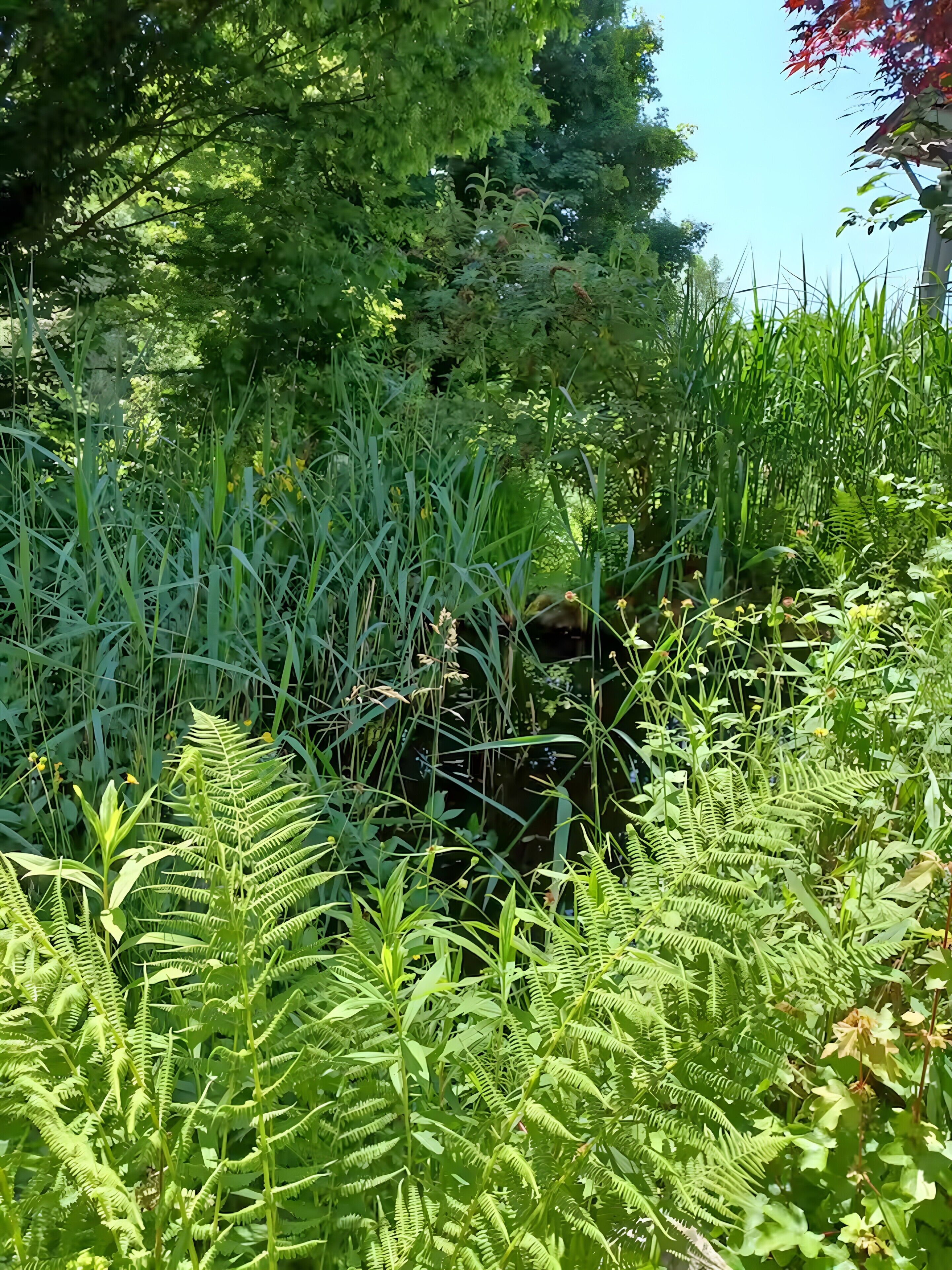 Áreas de la propiedad