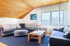 TV - Apartment 'Bodensee, 85qm' with Private Terrace and Wi-Fi (Mühlingen)