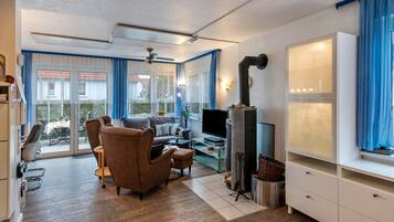 TV, fireplace, DVD player, ping pong