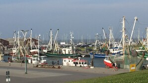 A marina with various boats docked, a small building, and a grassy area with flowers. - Holiday Home 'In Strandnähe' with Private Terrace, Private Garden and Wi-Fi (Dornum)