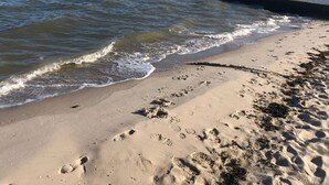 A sandy beach with footprints and seaweed, a pier extending into the water, and a person standing at the end of the pier. - Holiday Home 'In Strandnähe' with Private Terrace, Private Garden and Wi-Fi (Dornum)